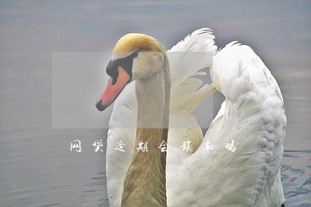网贷逾期会锁车吗