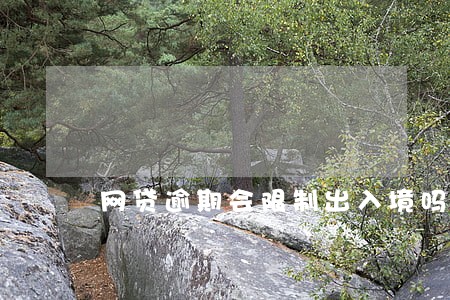 网贷逾期会限制出入境吗 网贷逾期会限制出入境吗