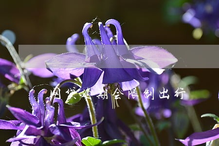 网贷逾期会限制出行 网贷逾期会限制出行