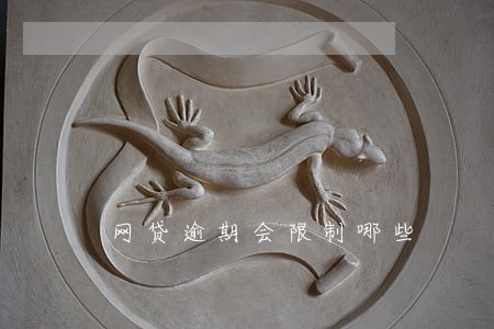 网贷逾期会限制哪些 网贷逾期会限制哪些