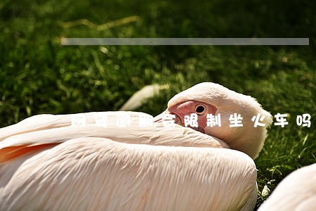 网贷逾期会限制坐火车吗 网贷逾期会限制坐火车吗
