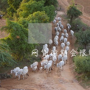 网贷逾期会限制坐飞机 网贷逾期会限制坐飞机