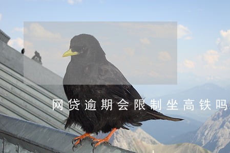 网贷逾期会限制坐高铁吗 网贷逾期会限制坐高铁吗