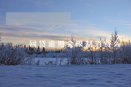 网贷逾期会限制消费么 网贷逾期会限制消费么