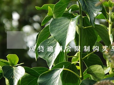 网贷逾期会限制购买车票吗 网贷逾期会限制购买车票吗