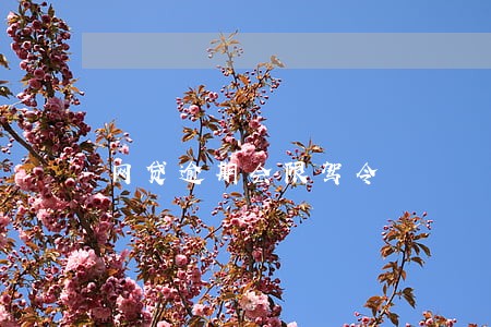 网贷逾期会限驾令 网贷逾期会限驾令