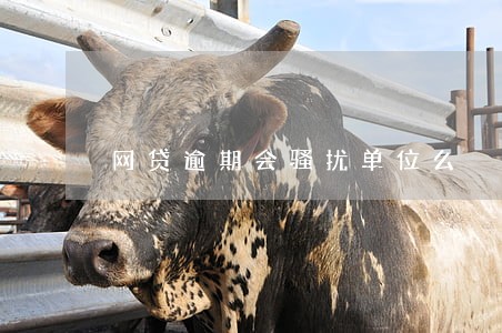 网贷逾期会骚扰单位么 网贷逾期会骚扰单位么
