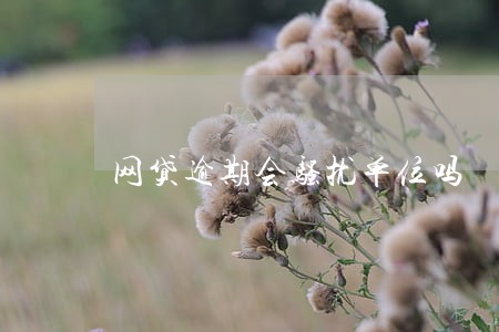 网贷逾期会骚扰单位吗 网贷逾期会骚扰单位吗