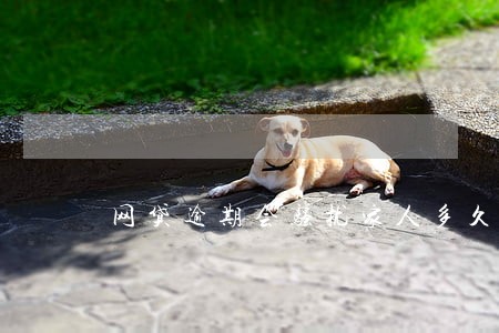 网贷逾期会骚扰家人多久 网贷逾期会骚扰家人多久