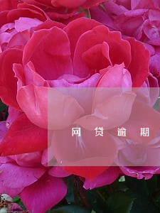 网贷逾期会骚扰联系人