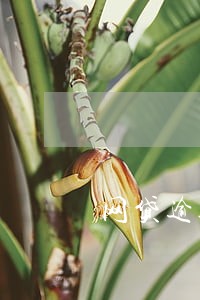 网贷逾期会黑户么 网贷逾期会黑户么