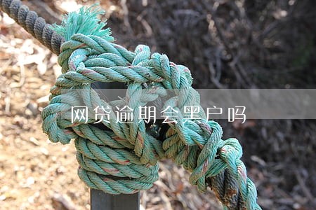 网贷逾期会黑户吗 网贷逾期会黑户吗