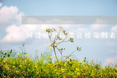 网贷逾期传票会被寄到老家吗 网贷逾期传票会被寄到老家吗