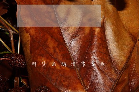 网贷逾期传票案例 网贷逾期传票案例