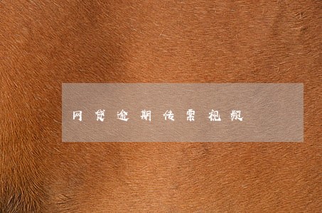 网贷逾期传票视频 网贷逾期传票视频
