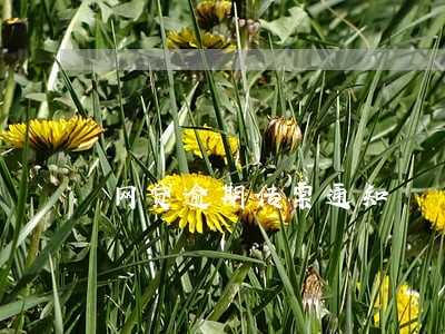 网贷逾期传票通知 网贷逾期传票通知