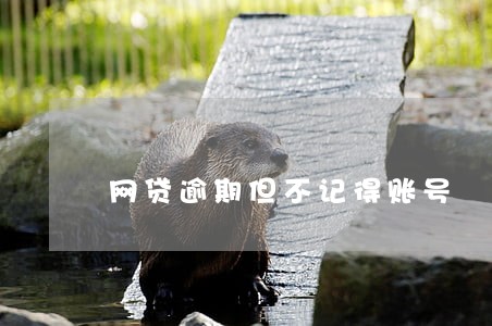 网贷逾期但不记得账号 网贷逾期但不记得账号