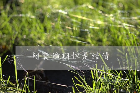 网贷逾期但是结清 网贷逾期但是结清