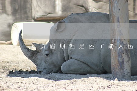 网贷逾期但是还了能入伍吗 网贷逾期但是还了能入伍吗