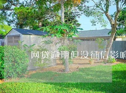 网贷逾期但没征信影响买车吗 网贷逾期但没征信影响买车吗