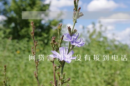 网贷逾期但没有接到电话 网贷逾期但没有接到电话