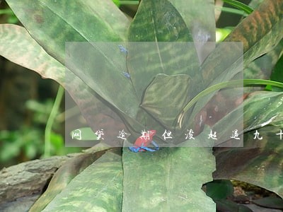 网贷逾期但没超过九十天