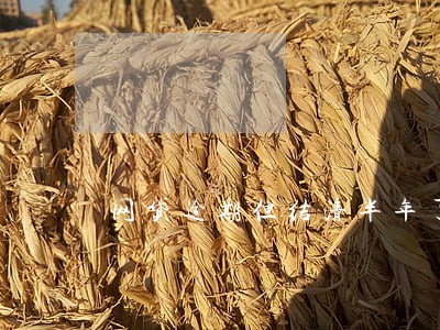 网贷逾期但结清半年了可以买车 网贷逾期但结清半年了可以买车