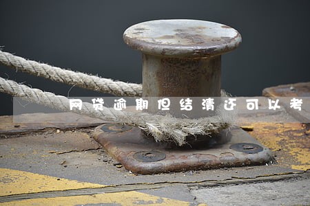 网贷逾期但结清还可以考事业编吗 网贷逾期但结清还可以考事业编吗