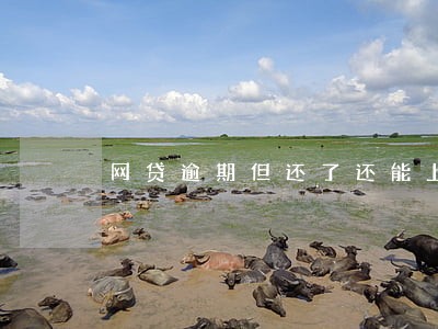 网贷逾期但还了还能上征信 网贷逾期但还了还能上征信