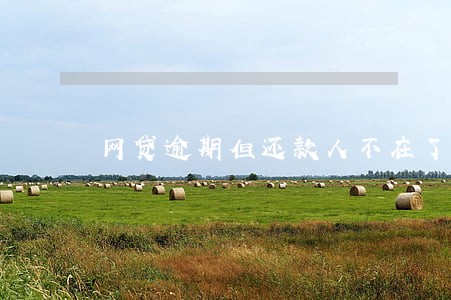 网贷逾期但还款人不在了 网贷逾期但还款人不在了