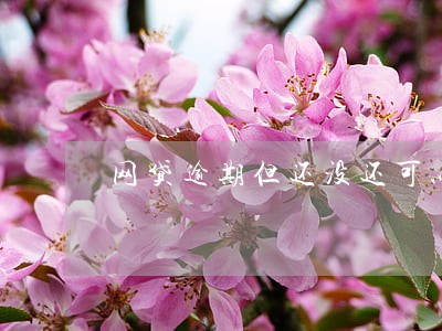 网贷逾期但还没还可以借款 网贷逾期但还没还可以借款
