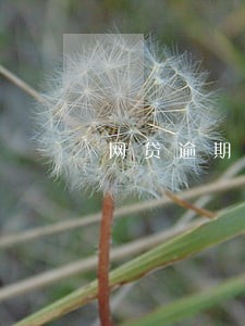 网贷逾期住酒店会爆吗 网贷逾期住酒店会爆吗