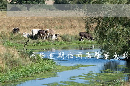 网贷逾期住酒店警察会找吗 网贷逾期住酒店警察会找吗