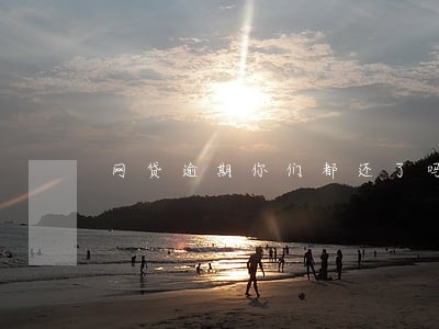 网贷逾期你们都还了吗 网贷逾期你们都还了吗