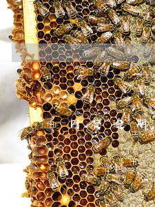 网贷逾期保全是真的吗 网贷逾期保全是真的吗