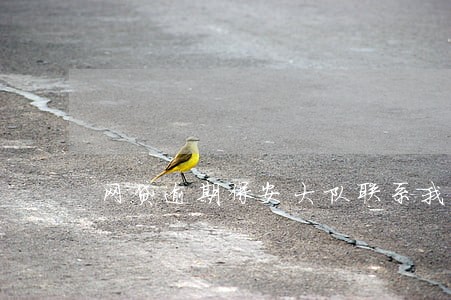 网贷逾期保安大队联系我 网贷逾期保安大队联系我