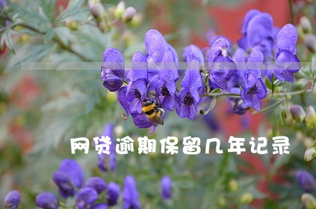 网贷逾期保留几年记录 网贷逾期保留几年记录