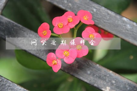 网贷逾期保释金 网贷逾期保释金