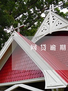 网贷逾期保险公司代偿后怎么办 网贷逾期保险公司代偿后怎么办