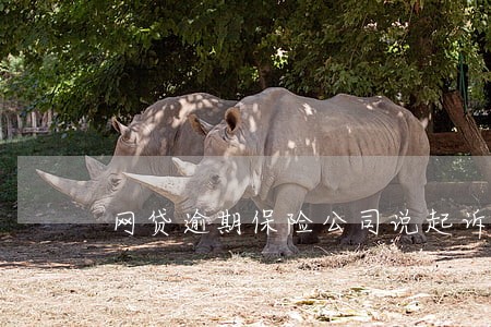 网贷逾期保险公司说起诉