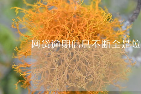 网贷逾期信息不断全是垃圾信息 网贷逾期信息不断全是垃圾信息