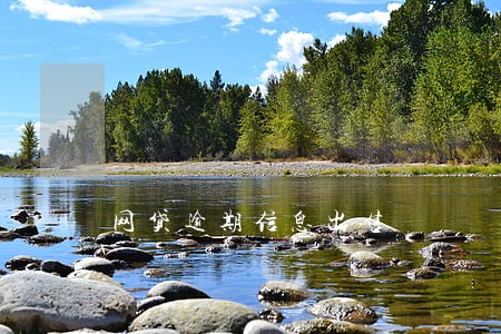 网贷逾期信息出售 网贷逾期信息出售