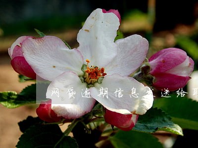 网贷逾期信息发送给联系人 网贷逾期信息发送给联系人