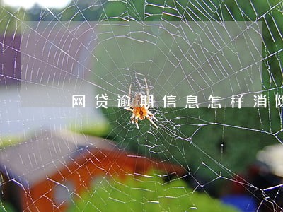 网贷逾期信息怎样消除