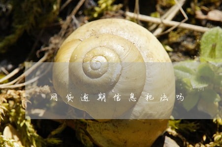 网贷逾期信息犯法吗 网贷逾期信息犯法吗