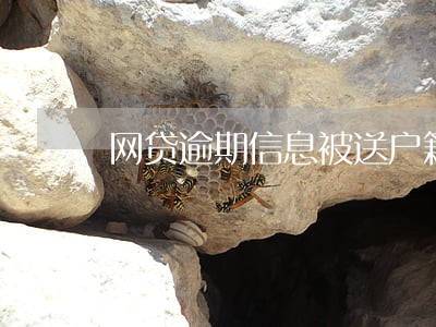 网贷逾期信息被送户籍居委会 网贷逾期信息被送户籍居委会