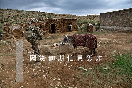 网贷逾期信息轰炸 网贷逾期信息轰炸