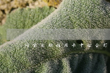 网贷逾期信用卡中心会打电话吗 网贷逾期信用卡中心会打电话吗