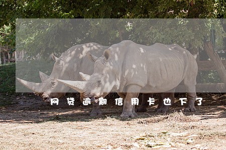 网贷逾期信用卡也下了