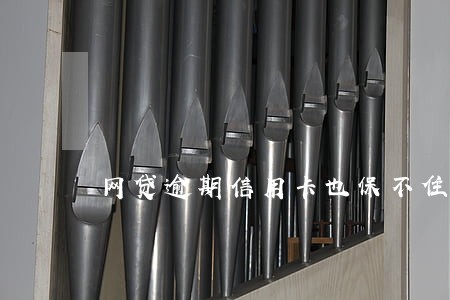 网贷逾期信用卡也保不住